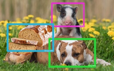 Dog? Pig? or Loaf of Bread? Computer Vision and Object Detection
