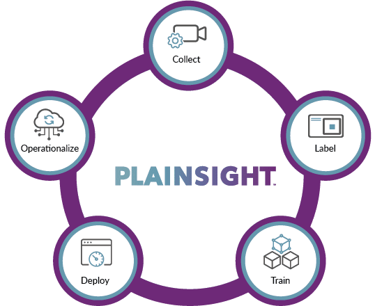 Plainsight - machine learning Vision AI - grape