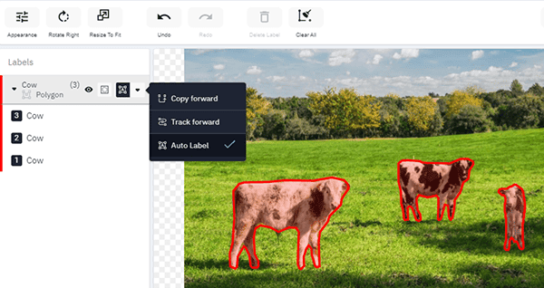 We select common objects and recognize them with pre-trained models that automatically apply labels.