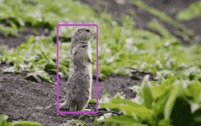 Groundhog Day 2022: Keep Computer Vision Accuracy Out of the Shadows