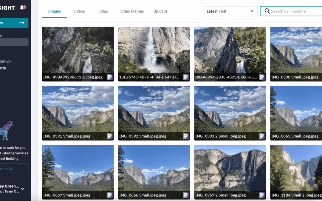 Classification Models: How to organize images with computer vision