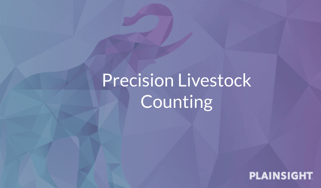 Precision Livestock Counting Confirmation