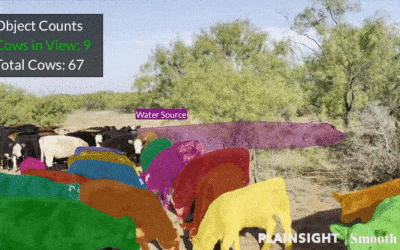 Introducing Computer Vision for Ranching