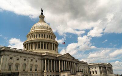 What is the AI Bill of Rights Blueprint?