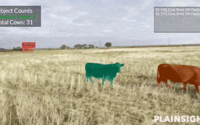 Cultivating Change: Human-Centric Computer Vision in Agriculture
