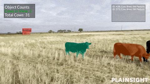 Cultivating Change: Human-Centric Computer Vision in Agriculture | Plainsight Cultivating Change: Human-Centric Computer Vision in Agriculture | Plainsight