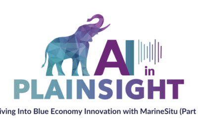 Our Podcast Conversation on Computer Vision for the Blue Economy Concludes