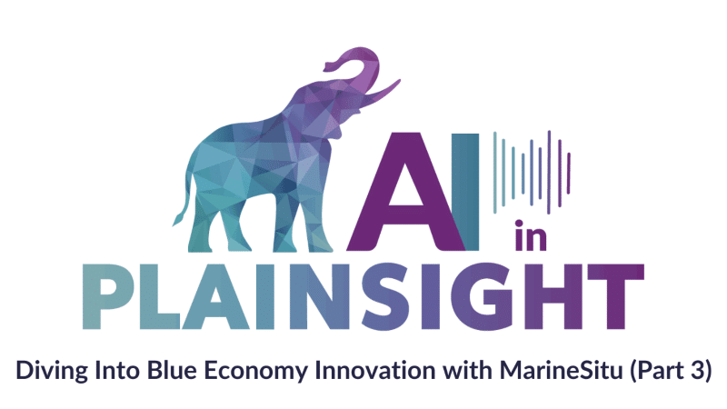 Our Podcast Conversation on Computer Vision for the Blue Economy Concludes